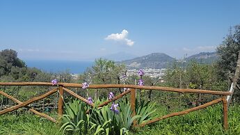 Gli Ulivi Agriturismo