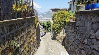 Gli Ulivi Agriturismo