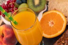 Hotel le president GARE TGV NIMES PONT DU GARD