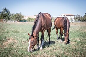 Hotel le president GARE TGV NIMES PONT DU GARD