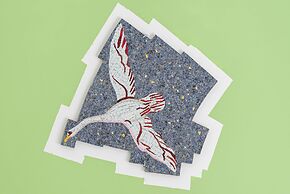 La Casa delle Stelle