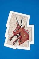 La Casa delle Stelle