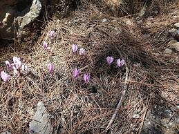 Mandarin & Mango Boutique Hotel