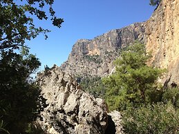 Mandarin & Mango Boutique Hotel