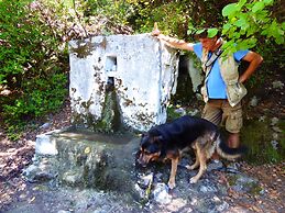 Mandarin & Mango Boutique Hotel