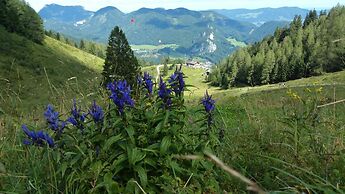 Schernthaner