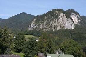 Schernthaner