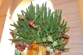 La Rosa Blu Bed & Breakfast