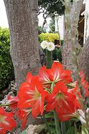 La Rosa Blu Bed & Breakfast