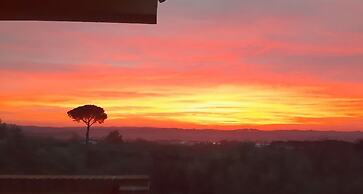 Il Girasole