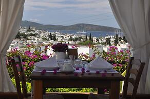 El Vino Hotel Suites - Special Class