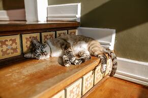 Casagrande Hotel Boutique