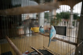 Casagrande Hotel Boutique