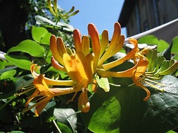 Globtroter Guest House