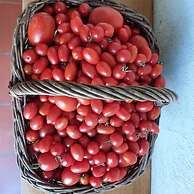 Agriturismo Tenuta La Fratta