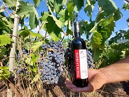 Agriturismo Tenuta La Fratta