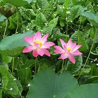 Bloo Lagoon Eco Village