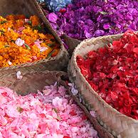 Bloo Lagoon Eco Village