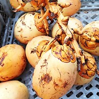 Bloo Lagoon Eco Village