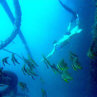 Bloo Lagoon Eco Village