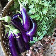 Bloo Lagoon Eco Village