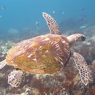 Bloo Lagoon Eco Village