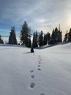 Cheval-Blanc