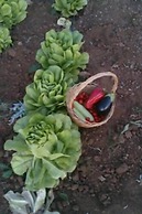 Agriturismo Sa Murtà