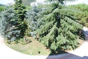 Hotel Terme Imperial