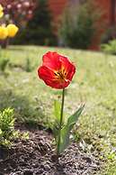 Linda Vista Apart Hotel