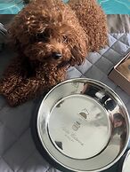 Santa Caterina