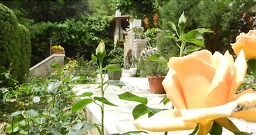 Hotel Paradiso