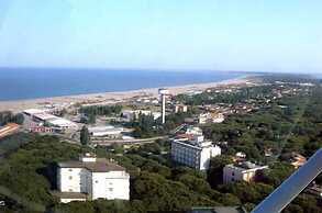 Sole