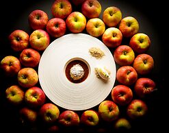 Hotel Le Lion d'Or et restaurant la Table du Lion