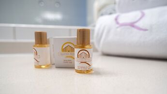 Hôtel Ours Blanc Centre