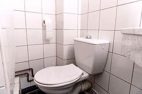 Ours Blanc - Place Victor Hugo