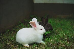 Pullman Bali Legian Beach