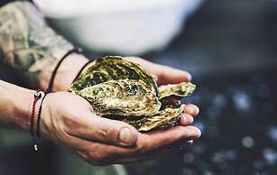 Kosmoplaz Beach Hotel