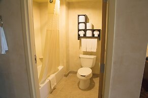 Hampton Inn & Suites Dallas Arlington N Entertainment Dist.