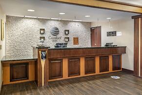 Comfort Inn Williamsport