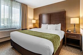 Comfort Inn Williamsport