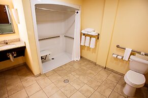 Holiday Inn Express Hotel & Suites Harrisburg West by IHG