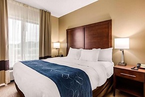 Comfort Suites Manchester