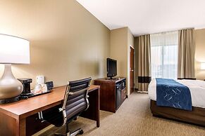 Comfort Suites Manchester