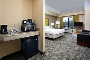 SpringHill Suites by Marriott Lynchburg Airport/University Area