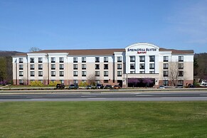 SpringHill Suites by Marriott Lynchburg Airport/University Area