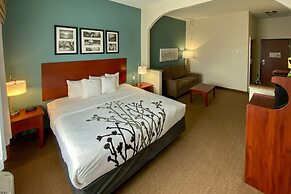 Sleep Inn And Suites Pearland - Houston South