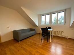 Swiss Star California