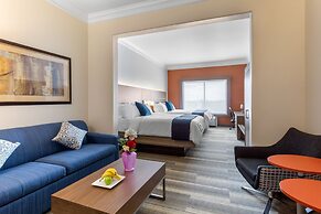 Holiday Inn Express Hotel & Suites Houston-Alvin by IHG