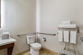 Holiday Inn Express Hotel & Suites Houston-Alvin by IHG